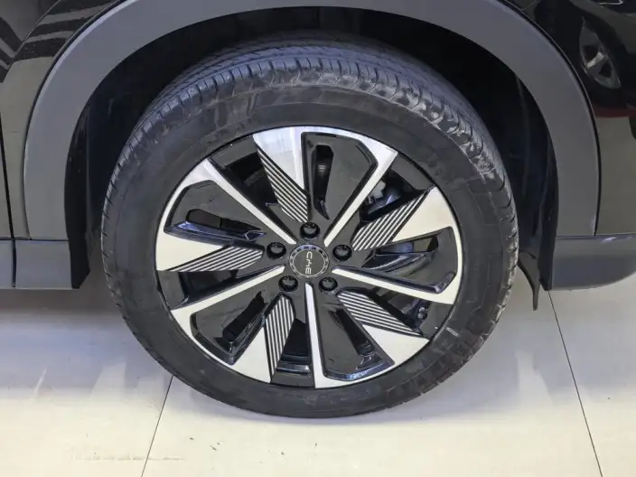 BYD Song PLUS DM 2025 Model DM-i 112KM Zunrong Model – фото 7
