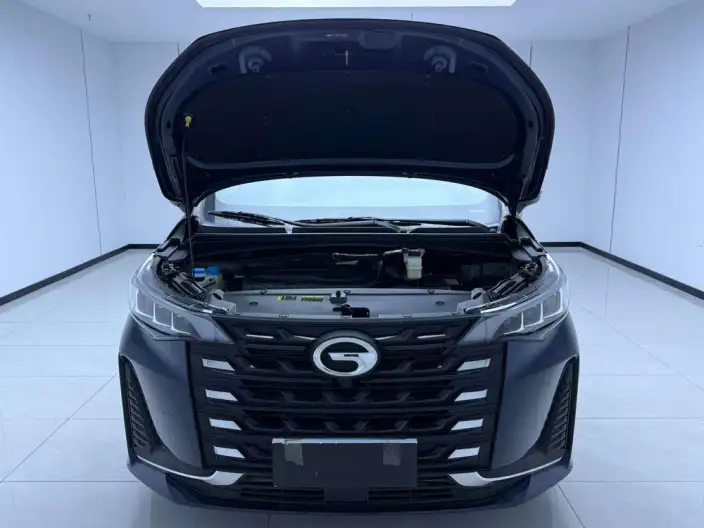GAC Trumpchi M6 2021 Model Pro 270T Automatic Deluxe Edition – фото 10