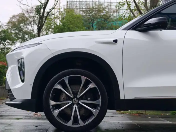 NIO ES8 2024 Model 75kWh – фото 4