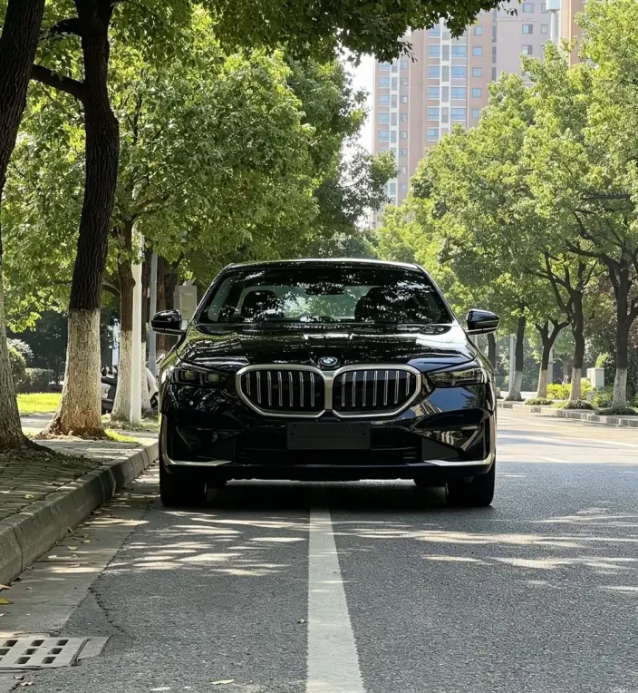 BMW 5 Series 2025 Model 530Li Exclusive Model Luxury Set – фото 9