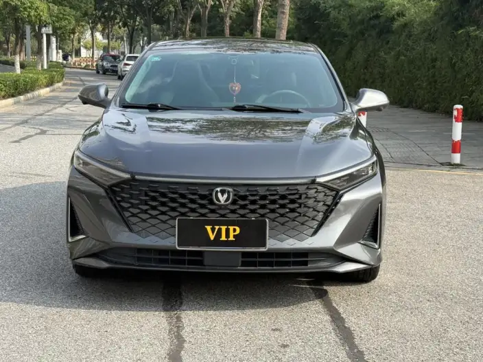 Ruicheng Plus 2023 Model 1.5T DCT Luxury Model – фото 2