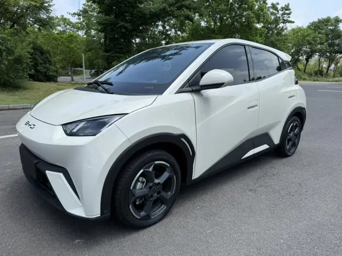 BYD Seagull 2023 Model Free Edition