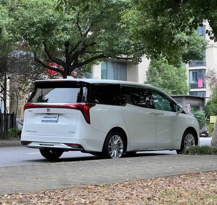 Century 2025 Model 2.0T VI seat Yunshi Edition – фото 7