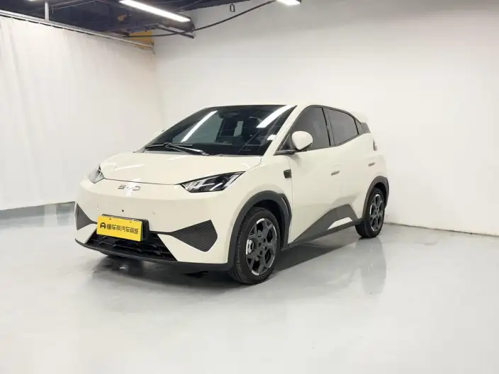 BYD Seagull 2025 Model Smart Driving Edition 305KM Free Edition – фото 1