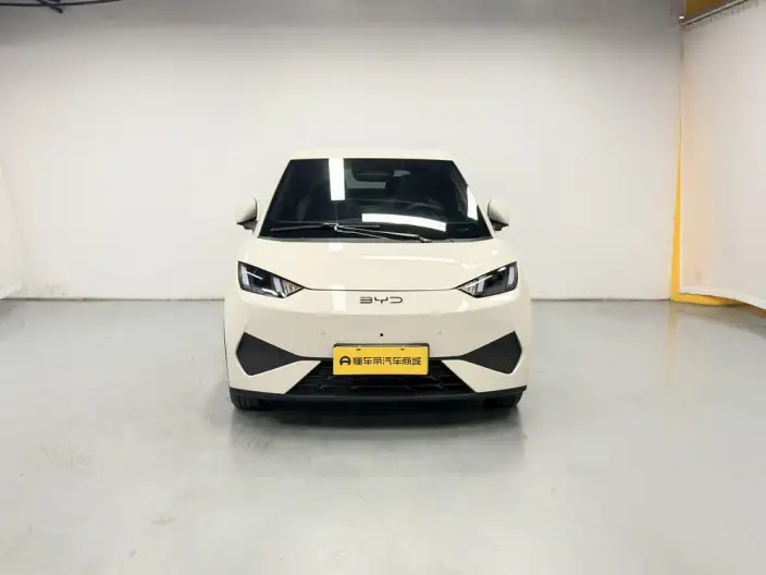 BYD Seagull 2025 Model Smart Driving Edition 305KM Free Edition – фото 2