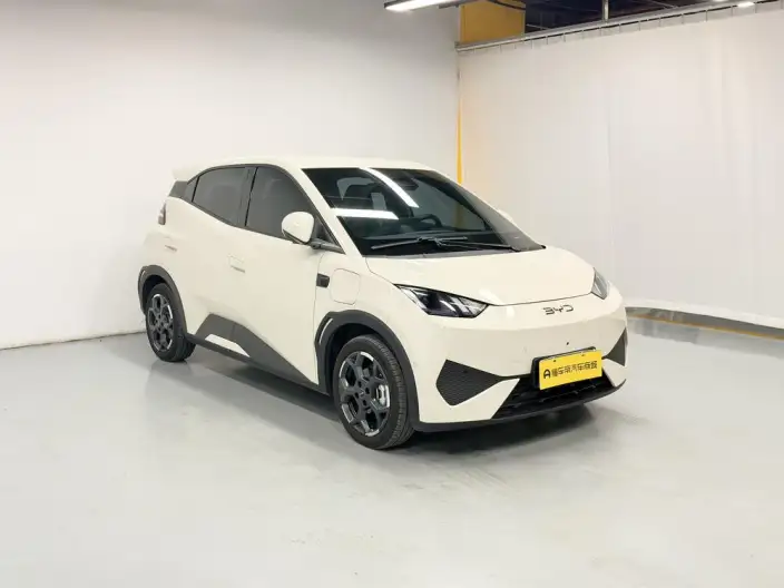 BYD Seagull 2025 Model Smart Driving Edition 305KM Free Edition – фото 3