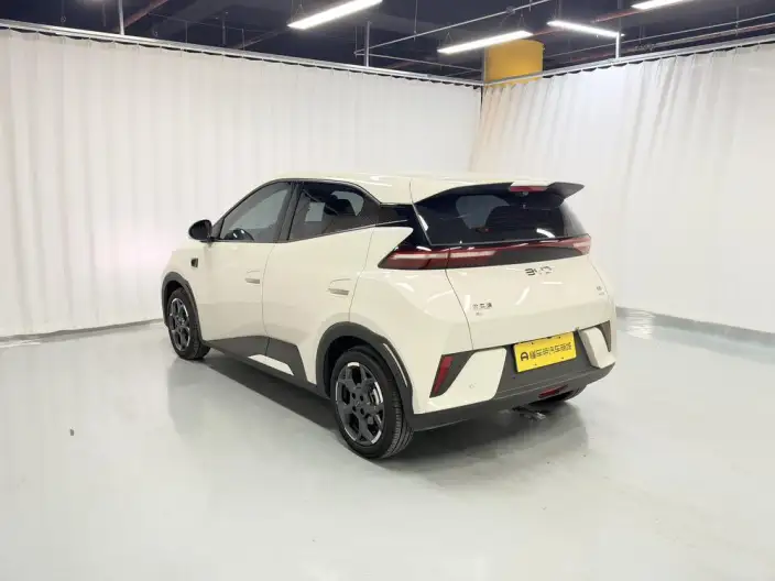 BYD Seagull 2025 Model Smart Driving Edition 305KM Free Edition – фото 5