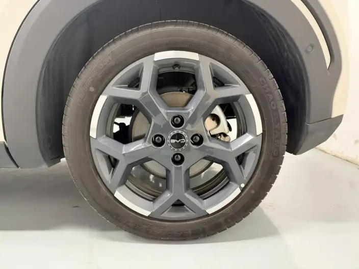 BYD Seagull 2025 Model Smart Driving Edition 305KM Free Edition – фото 9