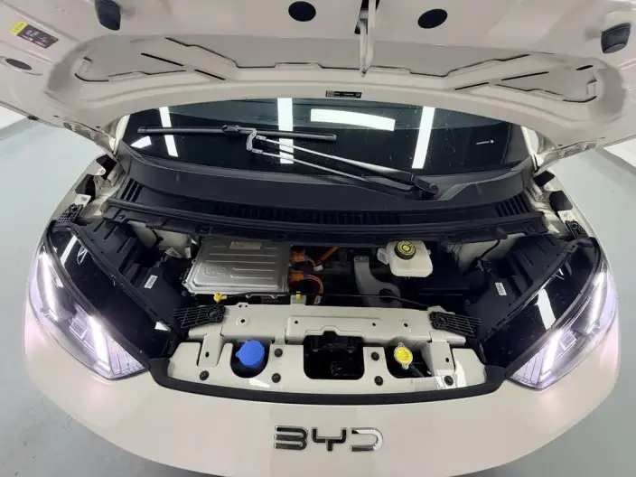 BYD Seagull 2025 Model Smart Driving Edition 305KM Free Edition – фото 10