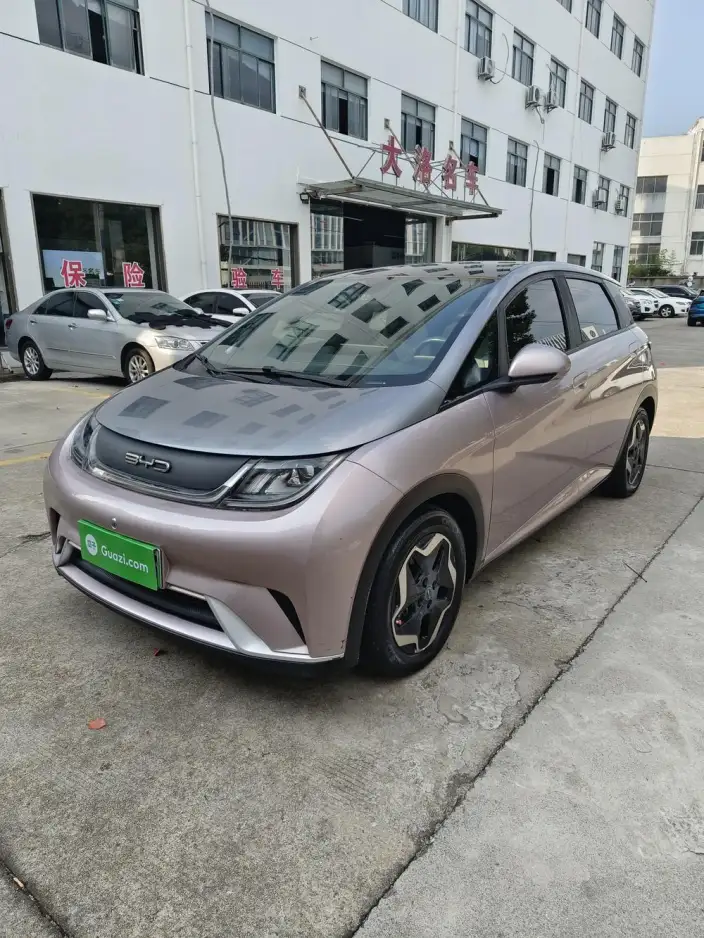 BYD Dolphin 2021 Model Fashion Edition – фото 1