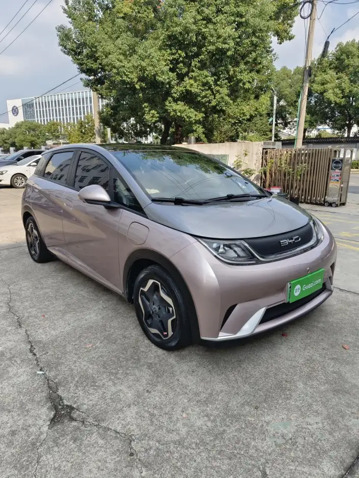 BYD Dolphin 2021 Model Fashion Edition – фото 3