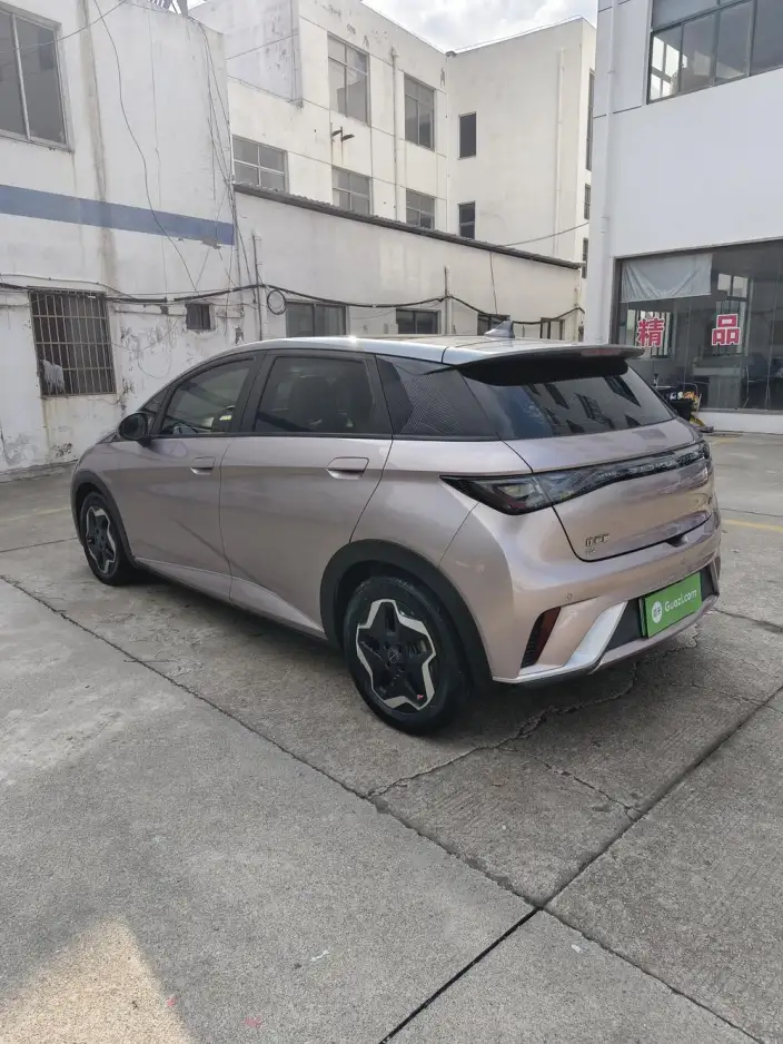 BYD Dolphin 2021 Model Fashion Edition – фото 4
