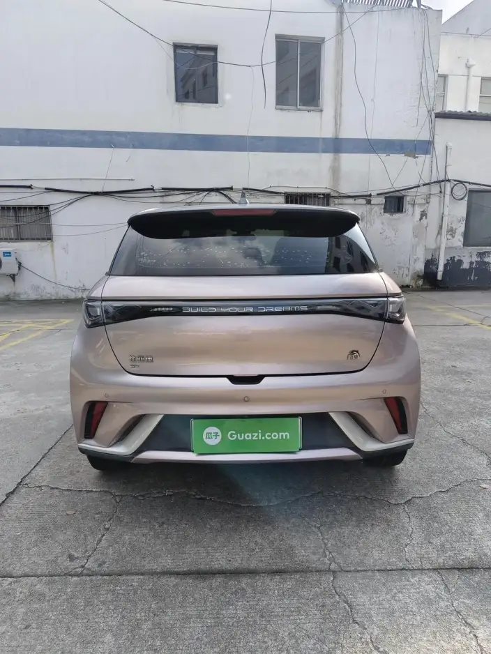 BYD Dolphin 2021 Model Fashion Edition – фото 5