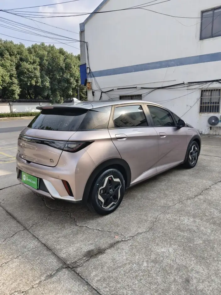BYD Dolphin 2021 Model Fashion Edition – фото 6