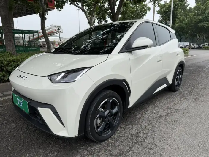 BYD Seagull 2023 Model Free Edition