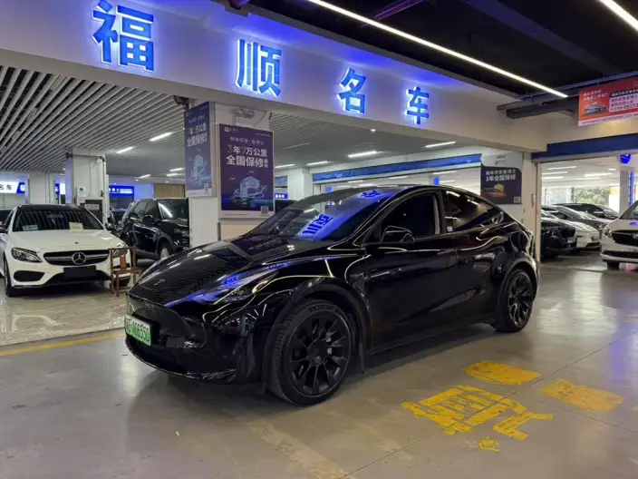 Model Y 2023 Model Rear-wheel drive version – фото 1