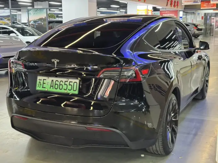 Model Y 2023 Model Rear-wheel drive version – фото 6