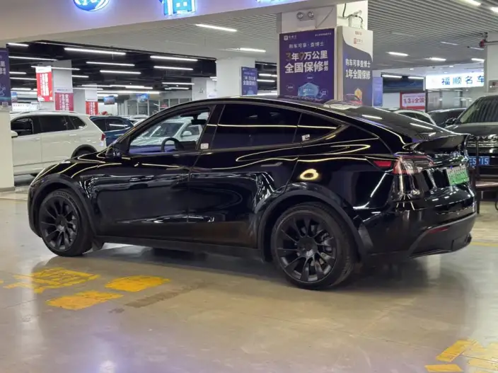 Model Y 2023 Model Rear-wheel drive version – фото 8
