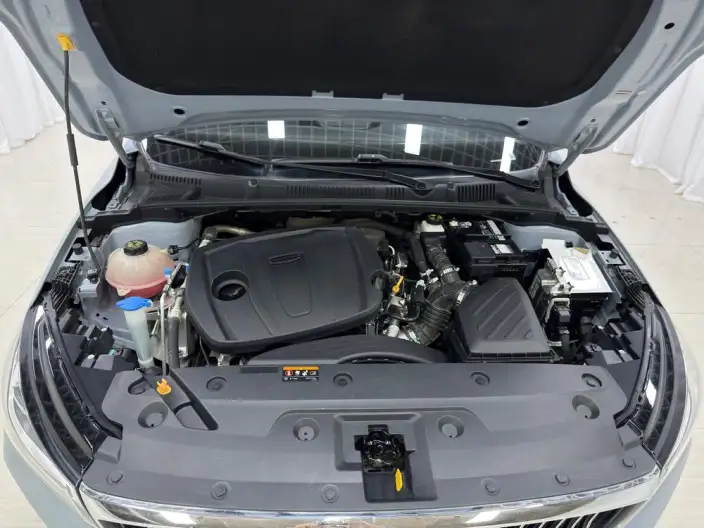 Geely Emgrand 2023 Model No. 4 Gen Champion Edition 1.5L CVT Noble Model – фото 10