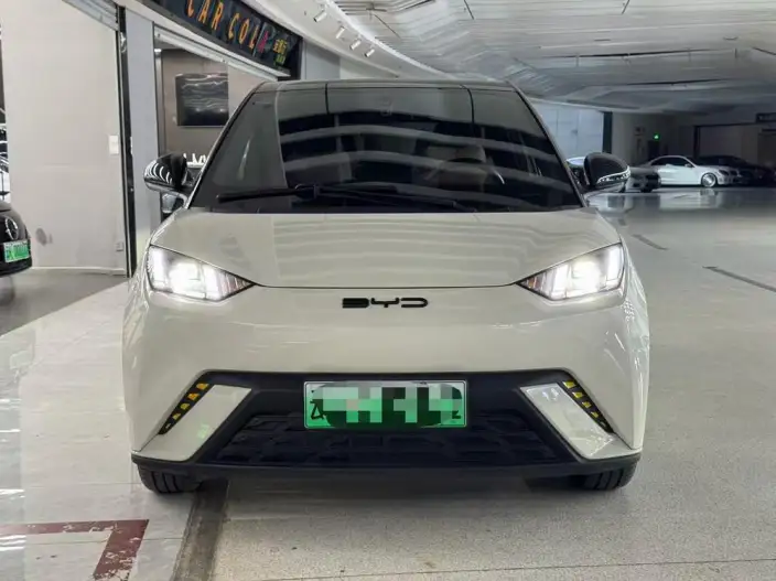 BYD Seagull 2023 Model Free Edition – фото 2