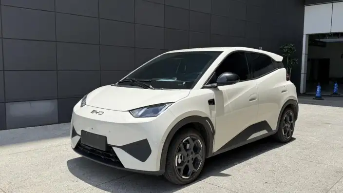 BYD Seagull 2025 Model Smart Driving Edition 305KM Free Edition – фото 1