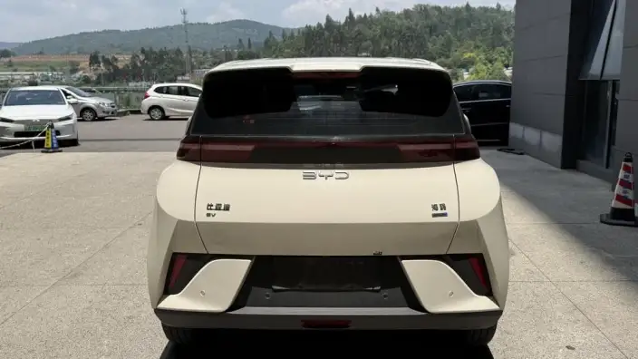 BYD Seagull 2025 Model Smart Driving Edition 305KM Free Edition – фото 5