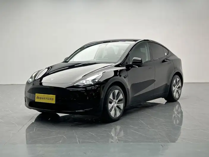 Model Y 2022 Model Rear-wheel drive version – фото 1