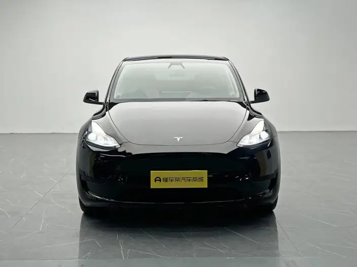 Model Y 2022 Model Rear-wheel drive version – фото 2
