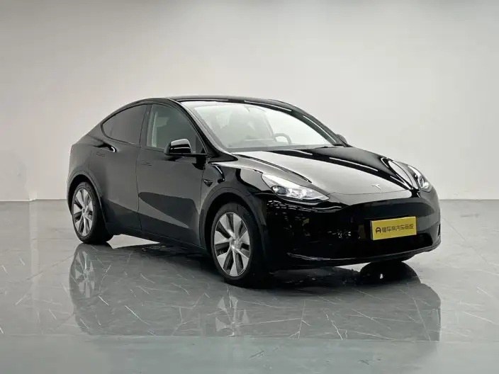 Model Y 2022 Model Rear-wheel drive version – фото 3