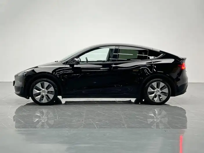 Model Y 2022 Model Rear-wheel drive version – фото 4