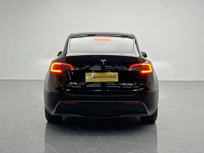 Model Y 2022 Model Rear-wheel drive version – фото 6