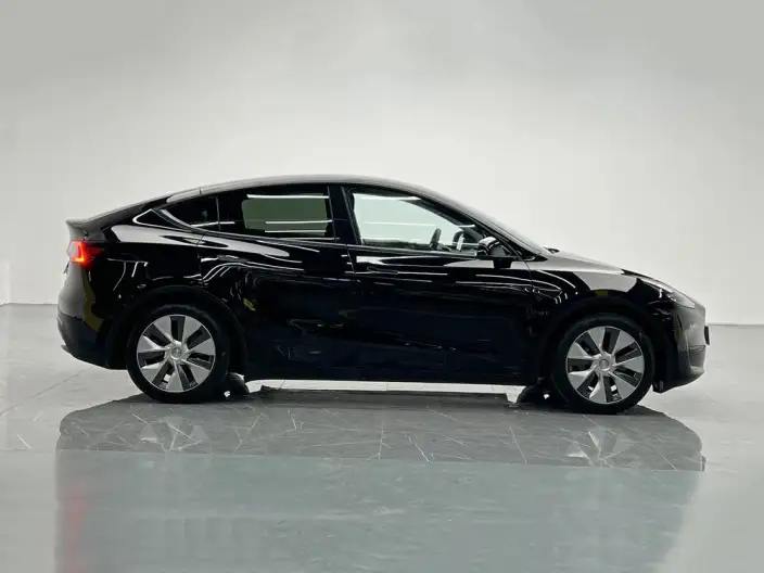 Model Y 2022 Model Rear-wheel drive version – фото 8