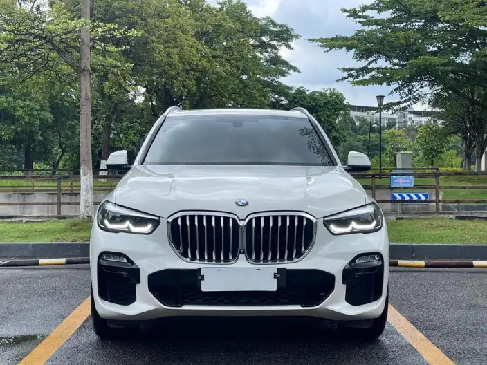 BMW X5 Imported 2019 Model xDrive40i M Sports Set – фото 2