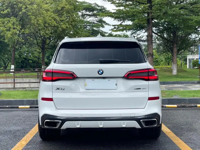 BMW X5 Imported 2019 Model xDrive40i M Sports Set – фото 6