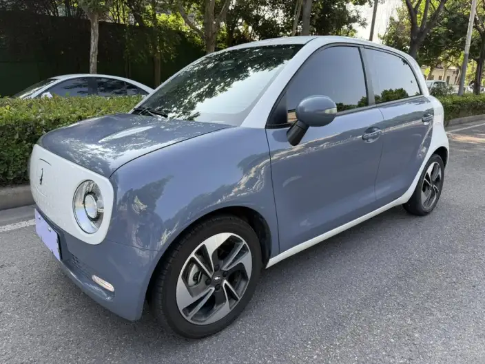 ORA Black Cat 2021 Model 351km Standard Model