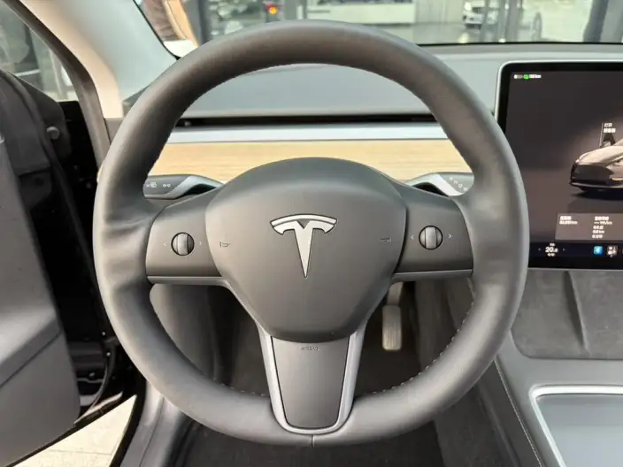 Model Y 2022 Model Facelift Rear-wheel drive version – фото 8
