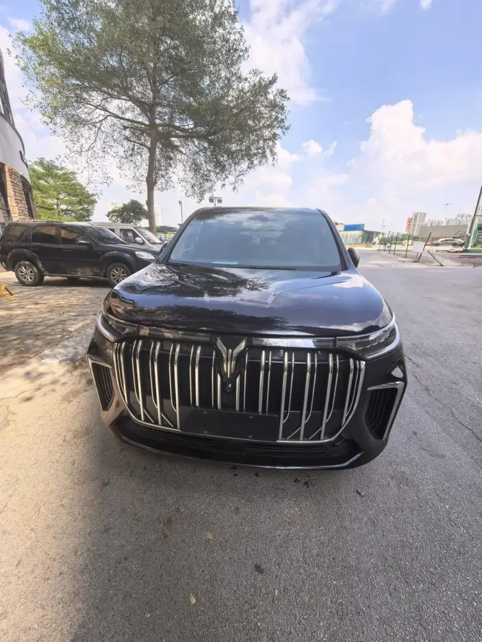 VOYAH Dreamer PHEV 2024 Model Ultra-long Endurance Premium Edition