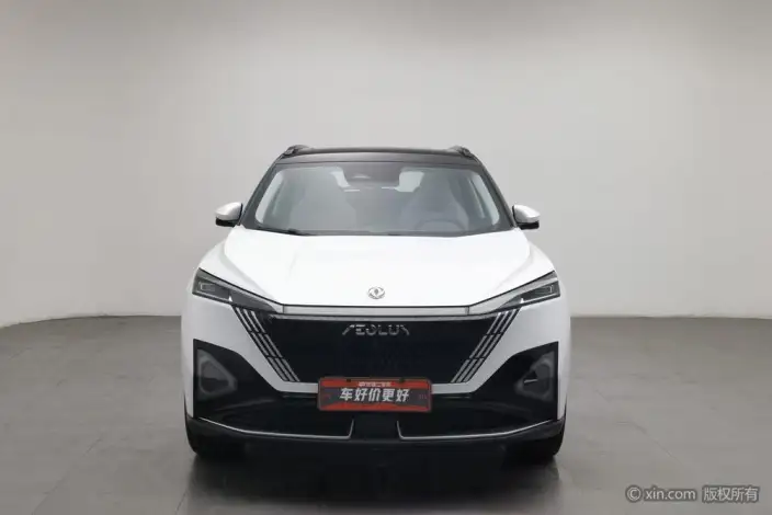 Dongfeng Haohan 2023 Model 1.5T DH-i Noble Model