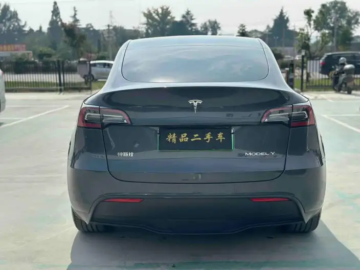 Model Y 2022 Model Rear-wheel drive version – фото 5