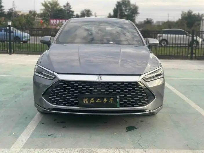 BYD Qin PLUS DM 2024 Model Honor Edition DM-i 55KM Leading Model – фото 2