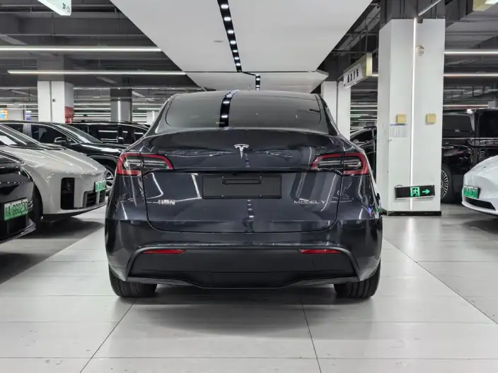 Model Y 2024 Model Long Battery Life Pro All-wheel drive version – фото 5