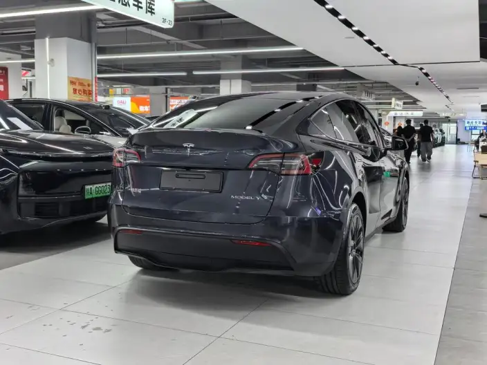 Model Y 2024 Model Long Battery Life Pro All-wheel drive version – фото 6