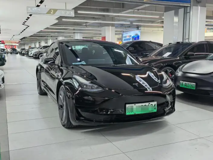Model 3 2022 Model Rear-wheel drive version