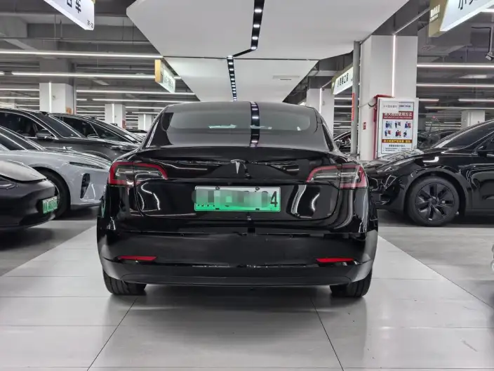 Model 3 2022 Model Rear-wheel drive version – фото 5