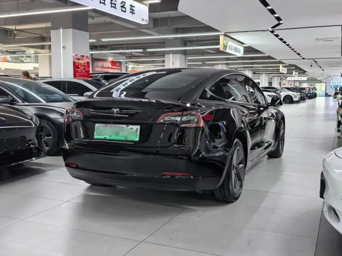 Model 3 2022 Model Rear-wheel drive version – фото 6
