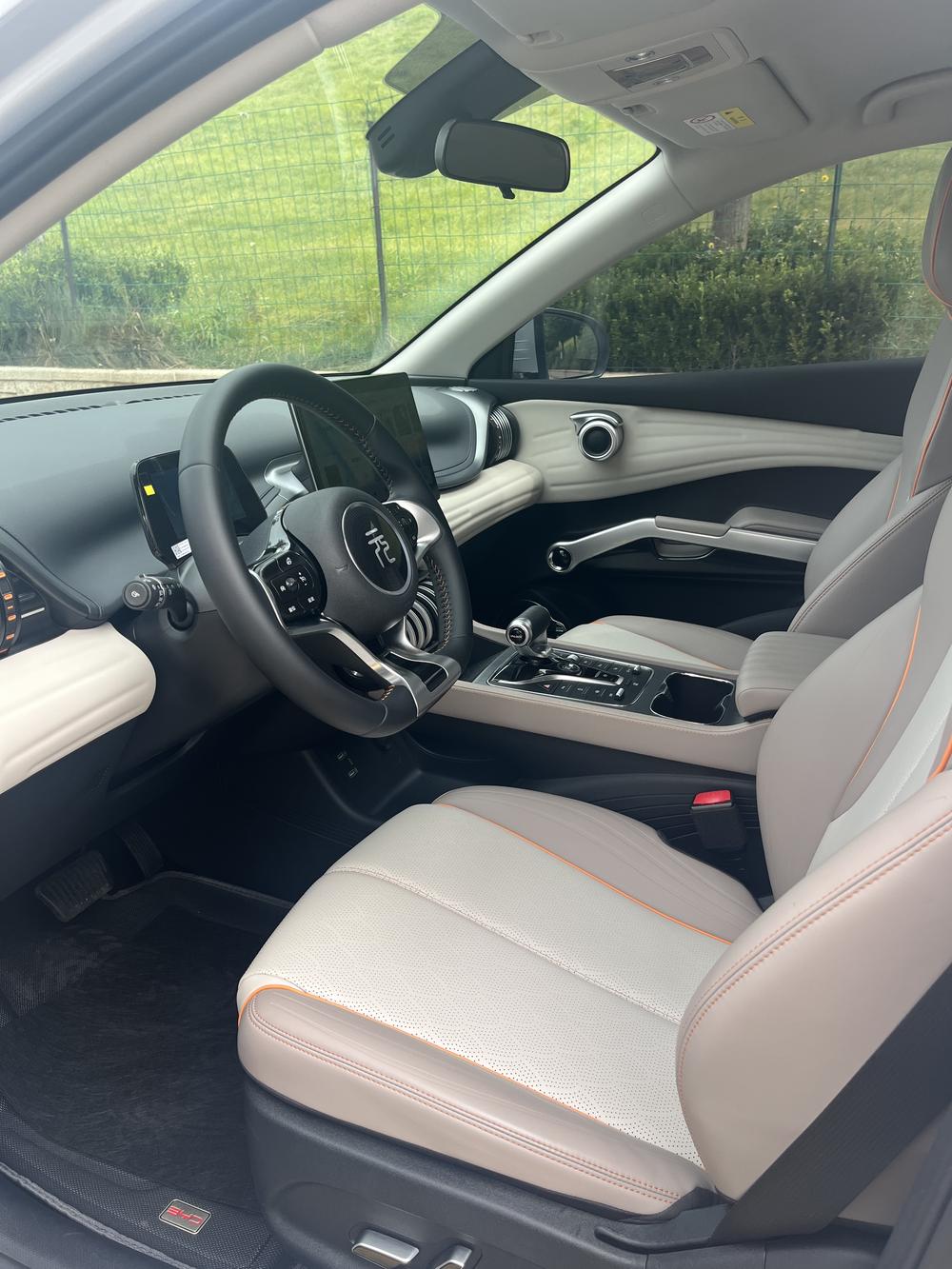 BYD Yuan PLUS 2024 Glory Edition 430KM Leading Edition – фото 9