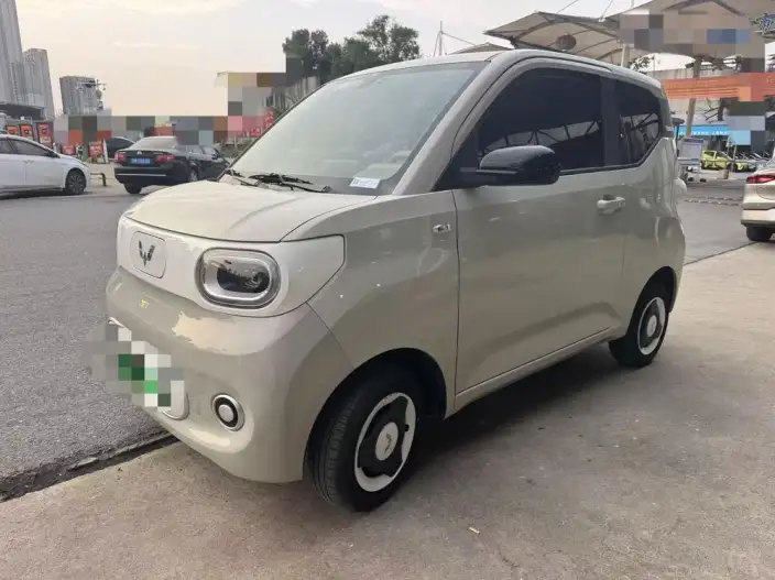 Wuling Hongguang MINIEV 2024 Model 215km Youth Edition Lithium Iron Phosphate