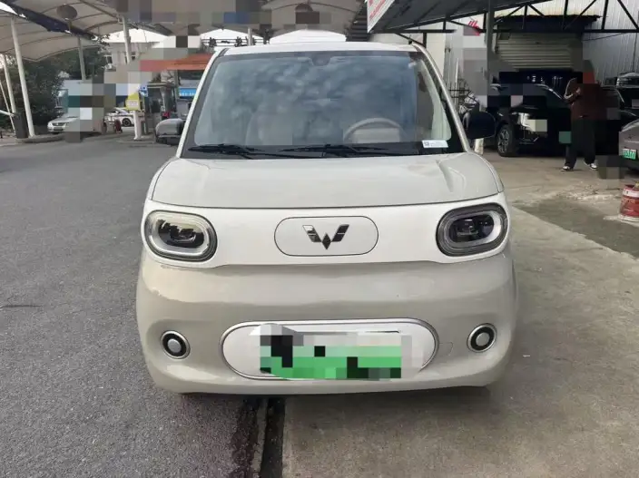 Wuling Hongguang MINIEV 2024 Model 215km Youth Edition Lithium Iron Phosphate