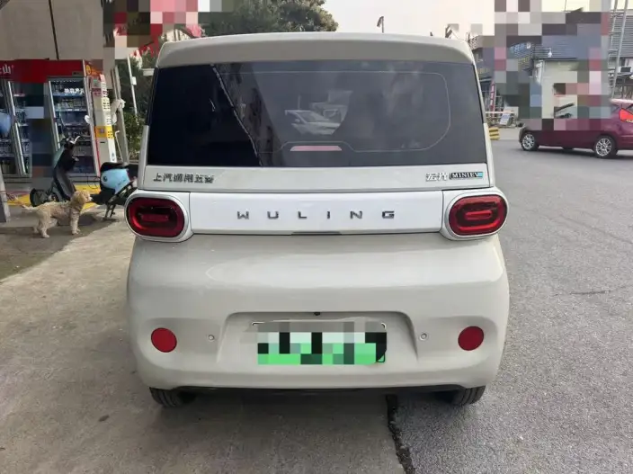 Wuling Hongguang MINIEV 2024 Model 215km Youth Edition Lithium Iron Phosphate – фото 5