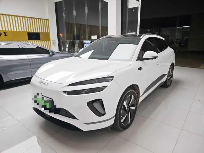 Sea Lion 06DM 2025 Model DM-i 205KM Pilot Plus Edition